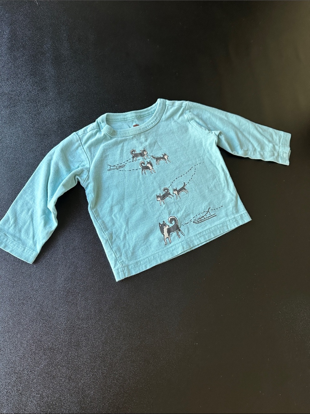 Tea Collection Teal Long-Sleeve Shirt with Dog Sketches